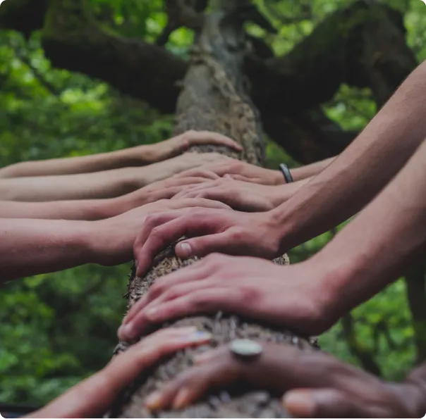 Mains posées sur un tronc d'arbre